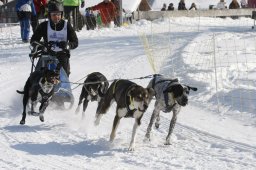 Lenk 2012 SM